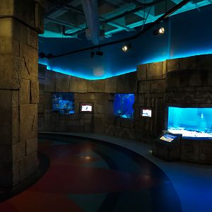 Great Maya Reef - Hallway