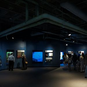 Living In Water - Interior