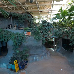 Mississippi River - Interior