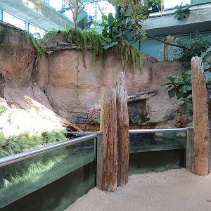 Mississippi River - Gulf Killifish and Others Exhibit