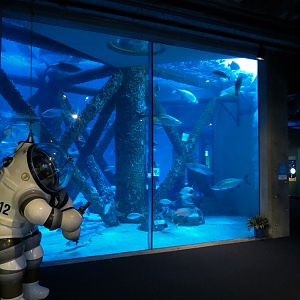 Gulf of Mexico Exhibit