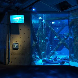 Gulf of Mexico Exhibit