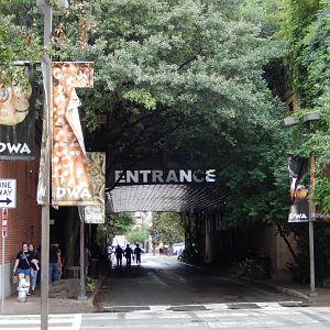 5/20/2018 - Walkway Towards the Aquarium