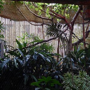 5/20/2018 - Mixed-Species Habitat