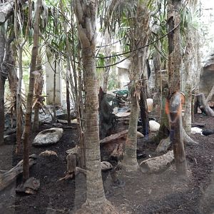 5/20/2018 - Jungle Junction