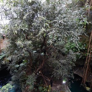 5/20/2018 - Monkey Island