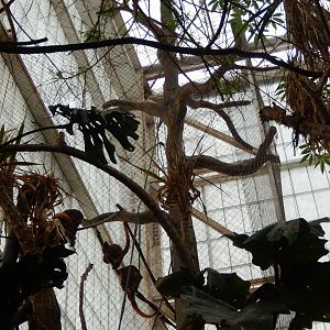 5/20/2018 - Howler Heights