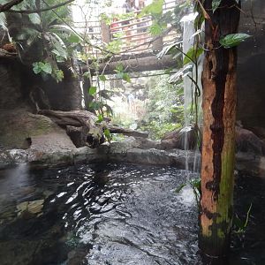 5/20/2018 - Lobo Del Rio