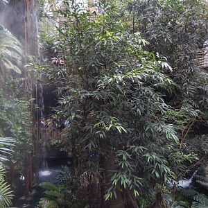 5/20/2018 - Monkey Island