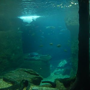 5/20/2018 - The River