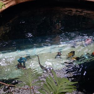 5/20/2018 - Cenote Underwater Tunnel