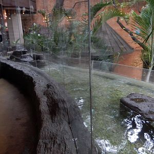 5/20/2018 - Little Blue Penguin Habitat