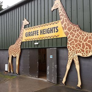 Giraffe house
