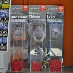 The bears are in the lead