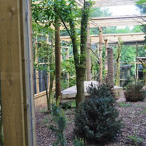 Inside new snow leopard extension