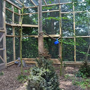 Far end of new snow leopard extension