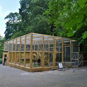 New binturong enclosure