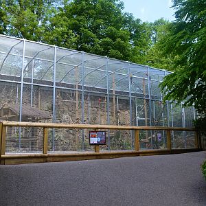 New scarlet macaw aviary