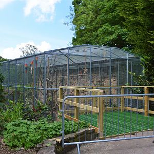Scarlet macaw viewing area under construction