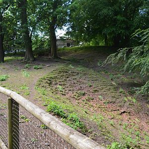 Cameroon sheep enclosure