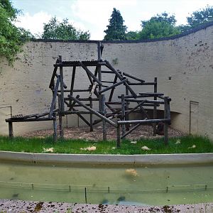 One of the orang enclosures.