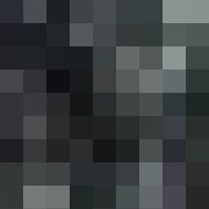 Rhino and Wildebeest