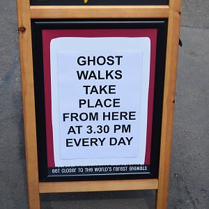 See a ghost at 3.30 in the afternoon