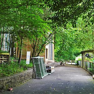 Prevost's squirrel enclosure under construction