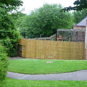View of chimp holding area