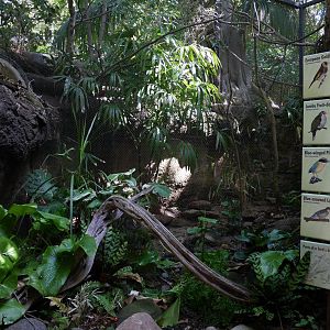 Tiger River Aviary - My First US Zoo Trip
