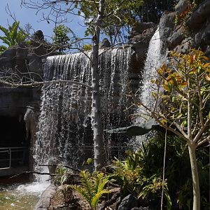 Rady Falls, Africa Rocks - My First US Zoo Trip