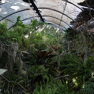 Hummingbird Aviary - My First US Zoo Trip