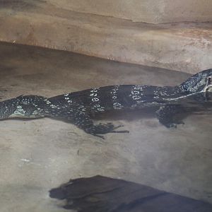 Asian Water Monitor