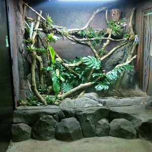 Blue Tree Monitor Exhibit