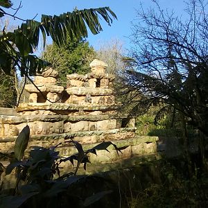 Hamadrayas Baboon Exhibit