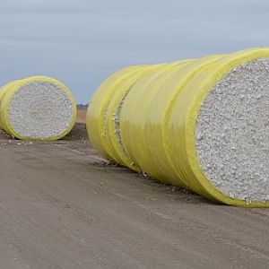Round cotton bales