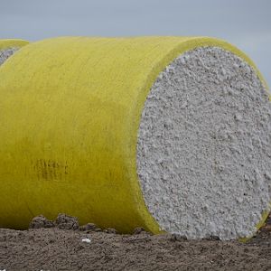 Cotton bale.  Each bale is approx. 2.4metres (8foot) across.