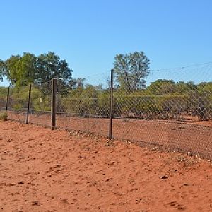 Dingo fence.  5614 kilometres long