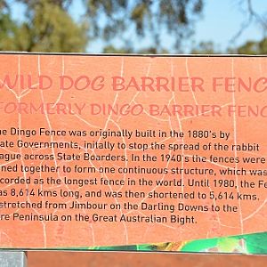 Dingo fence sign