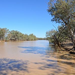 Paroo river.  NSW