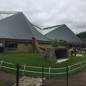 Aldabra Tortoise Outdoor Exhibit (Construction)