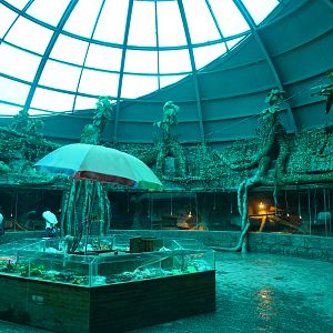 Reptile house inside