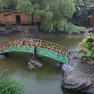 Crocodile enclosure