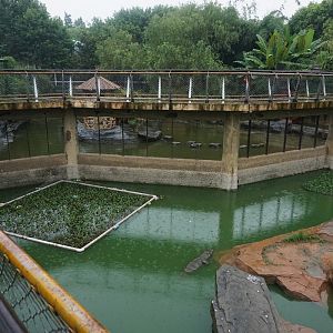 Crocodile enclosure
