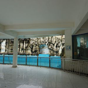 African penguin enclosure