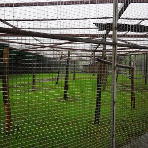 Squirrel monkey enclosure