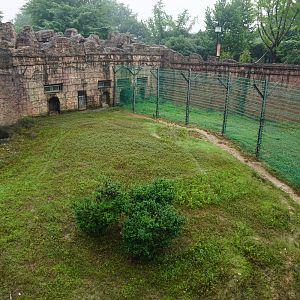 Patas monkey enclosure