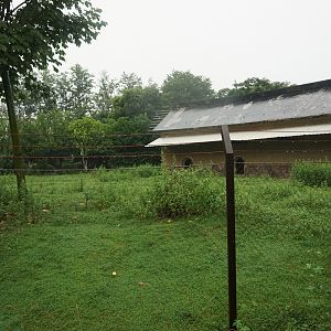 Kangaroo enclosure