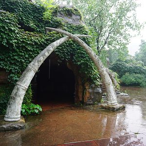 Elephant hall appearance