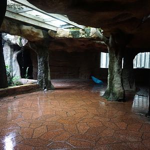 Elephant hall inside